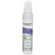 Helen Seward Schiuma Colorante Argento 200 ml