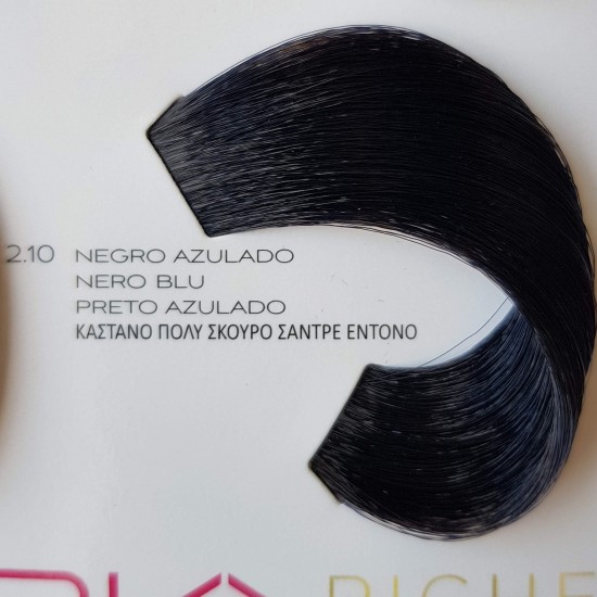 L'oreal Professionnel Dia Richesse 2.10 - 50 ml Nero Blu L'oreal Professionnel Dia Richesse 2.10 - 50 ml Nero Blu