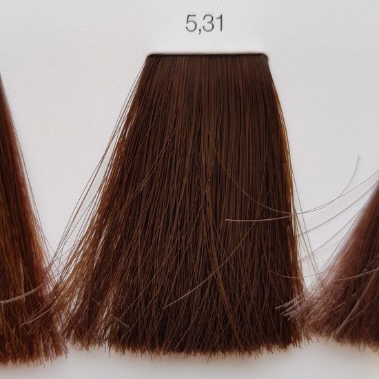 L'oreal Professionnel Inoa 5.31 - 60 ml Castano Chiaro Dorato Cenere L'oreal Professionnel Inoa 5.31 - 60 ml Castano Chiaro Dorato Cenere